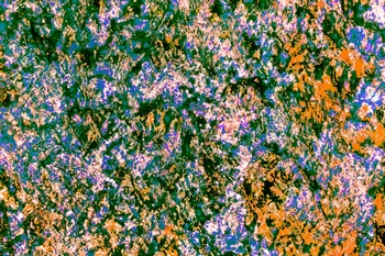 AP 174C1